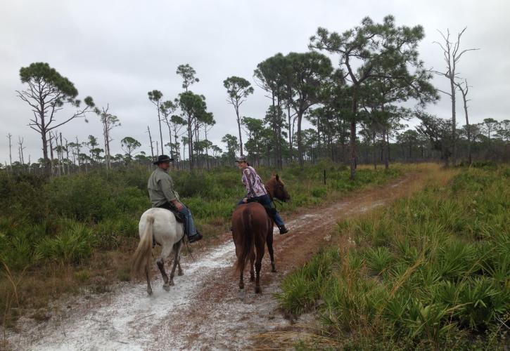 Horseback at Allen David Broussard Catfish Creek Preserve State Park